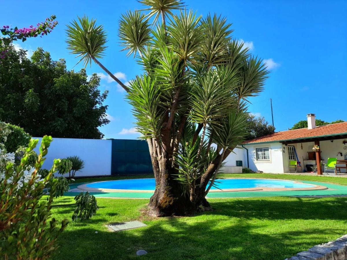 Villa Qm - Quinta Da Morgadinha - Casa Em Quinta Rural Cabecos Exterior foto